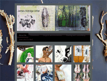 Tablet Screenshot of jamesaldridge-artist.co.uk